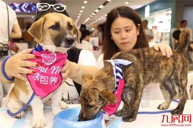 快戳!好FUN生活季活动一览,吃喝玩乐购全包!——九房网 快戳!好FUN生活季活动一览,吃喝玩乐购全包!——九房网