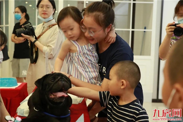 福州正荣美好七夕,关爱流浪动物呼吁带走“单身狗”——九房网 福州正荣美好七夕,关爱流浪动物呼吁带走“单身狗”——九房网