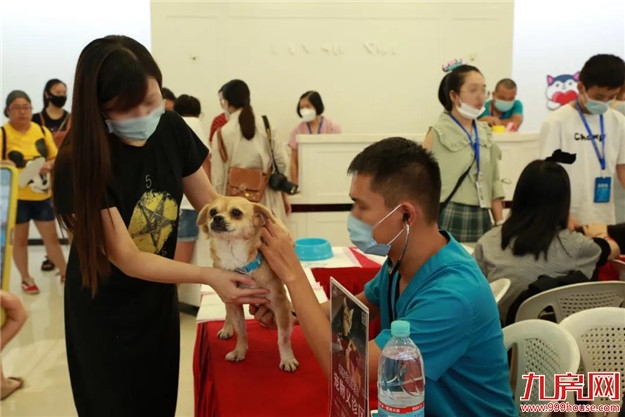 福州正荣美好七夕,关爱流浪动物呼吁带走“单身狗”——九房网 福州正荣美好七夕,关爱流浪动物呼吁带走“单身狗”——九房网