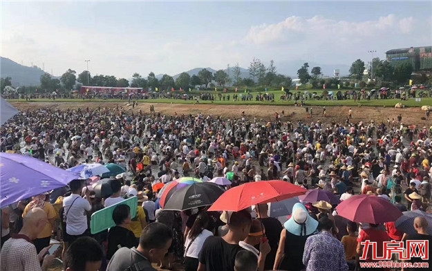 环降24.03%！环降27.2%！上周龙岩一手住宅成交量略微下滑！——九房网