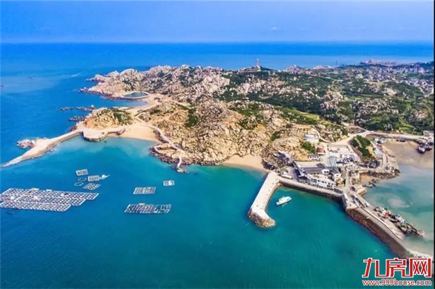 飘洋过海只为你——让呵护希望的人充满希望——九房网 飘洋过海只为你——让呵护希望的人充满希望——九房网