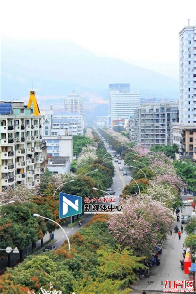 公示中!福州这个30多年的老环岛要改造了——九房网 公示中!福州这个30多年的老环岛要改造了——九房网