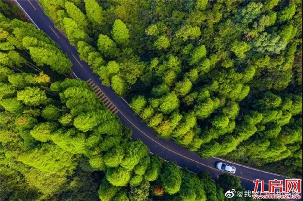 恭喜!这项全国“十强”评选,福州这个区拿下了!【区县头条】——九房网 恭喜!这项全国“十强”评选,福州这个区拿下了!【区县头条】——九房网