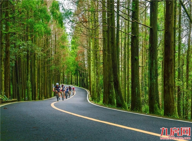 恭喜!这项全国“十强”评选,福州这个区拿下了!【区县头条】——九房网 恭喜!这项全国“十强”评选,福州这个区拿下了!【区县头条】——九房网