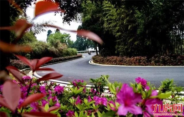 恭喜!这项全国“十强”评选,福州这个区拿下了!【区县头条】——九房网 恭喜!这项全国“十强”评选,福州这个区拿下了!【区县头条】——九房网