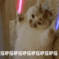 倒计时1天!狂送43寸高清全面屏电视等超级壕礼!福州博饼兑奖马上开启!——九房网 倒计时1天!狂送43寸高清全面屏电视等超级壕礼!福州博饼兑奖马上开启!——九房网