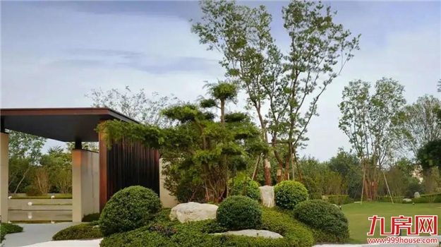 大东海再迎“高光”时刻：多盘联动，四季度火力全开！——九房网