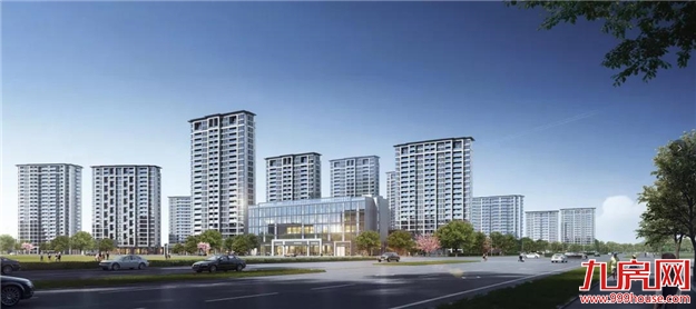 大东海再迎“高光”时刻：多盘联动，四季度火力全开！——九房网