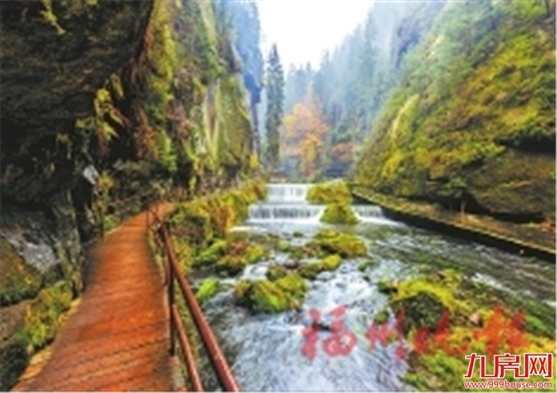 就在晋安！国内最具属地特色的“野生动植物王国”动工了——九房网