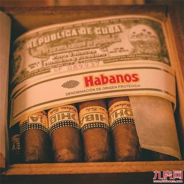 南二环，轰鸣再起！一场巡礼百年哈雷的自由个性展即将上演——九房网