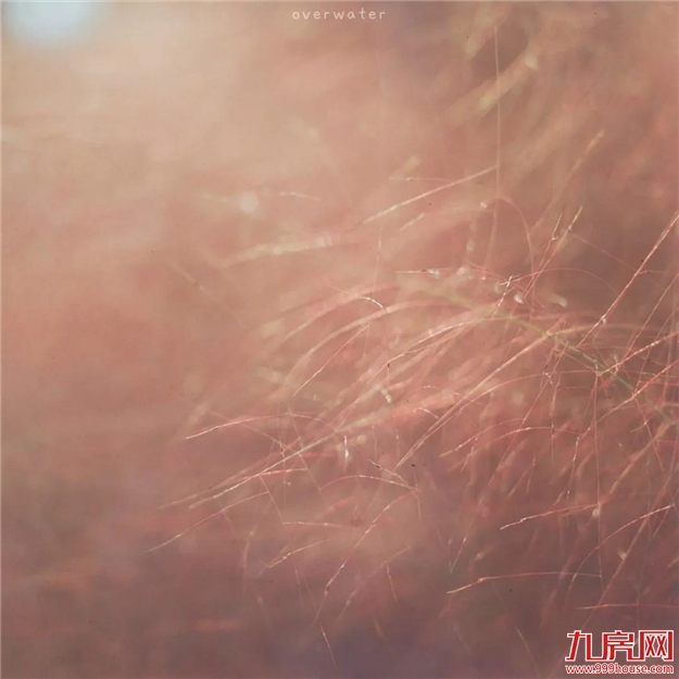 厦门房产,厦门房地产,厦门新房,九房网,厦门房产 厦门房产,厦门房地产,厦门新房,九房网,厦门房产