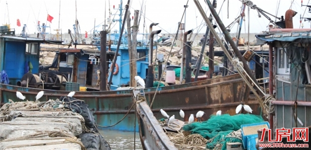 好消息！滨海新城首座沿海景观桥预计元旦通车——九房网