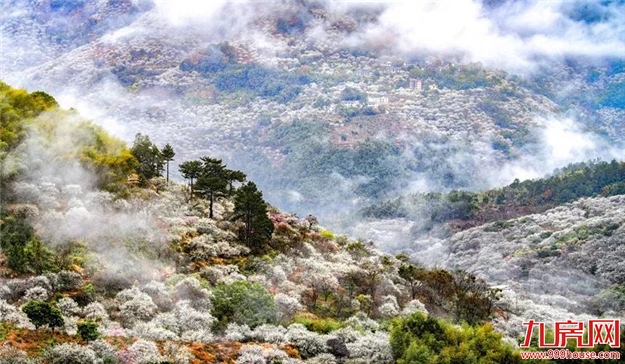 厦门房产,厦门房地产,厦门新房,九房网,厦门房产