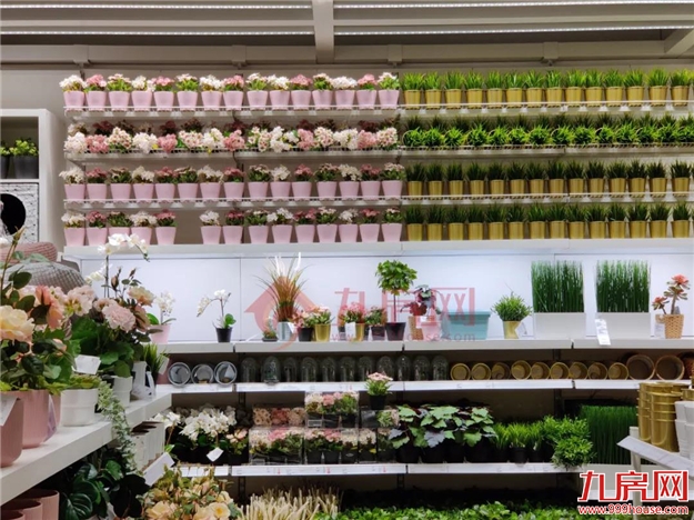 现场直击！多图曝光！省内首家！福州宜家正式开业！东二环身价将迎巨变！——九房网