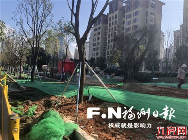扮靓城市清爽过年 城市景观大提升——九房网