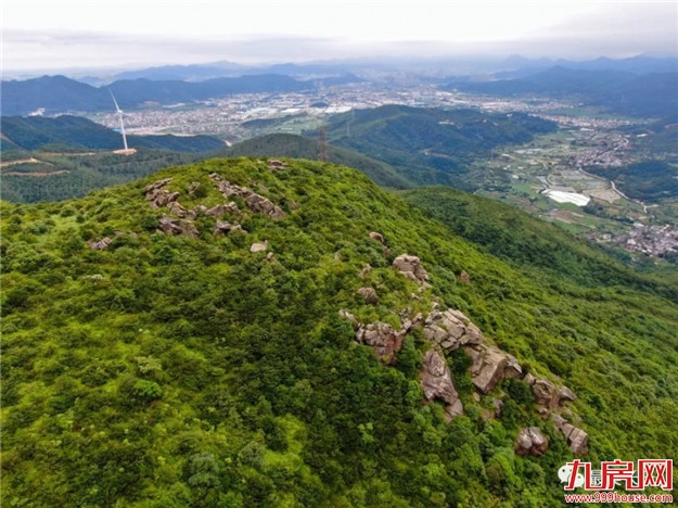 厦门房产,厦门房地产,厦门新房,九房网,厦门房产