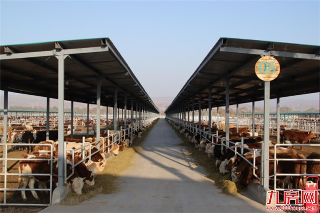 同频共振融入“十四五” |融侨集团坚定以"医食住教"服务美好生活——九房网