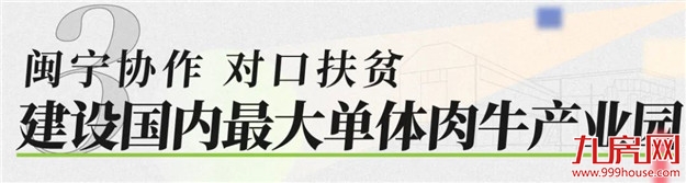 同频共振融入“十四五” |融侨集团坚定以