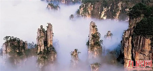 冬藏御宴 | 国宴名肴佛跳墙，盛呈冬日尖味——九房网