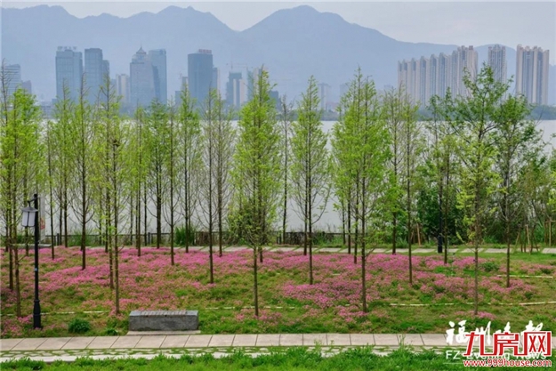 厦门房产,厦门房地产,厦门新房,九房网,厦门房产