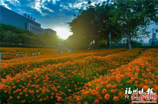 厦门房产,厦门房地产,厦门新房,九房网,厦门房产