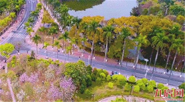 厦门房产,厦门房地产,厦门新房,九房网,厦门房产 厦门房产,厦门房地产,厦门新房,九房网,厦门房产