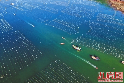 福州持续深化林权改革、生态产品市场化改革——九房网