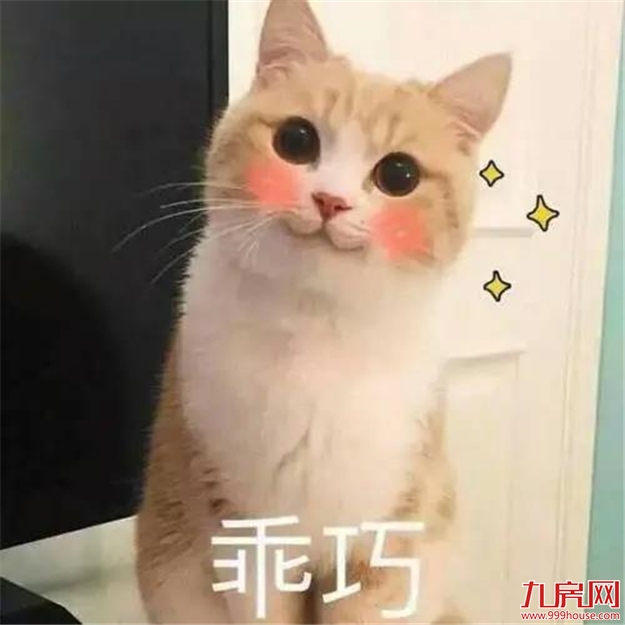 福利赠票 | 大咖驾到！你想要的福立社专场脱口秀来咯！——九房网