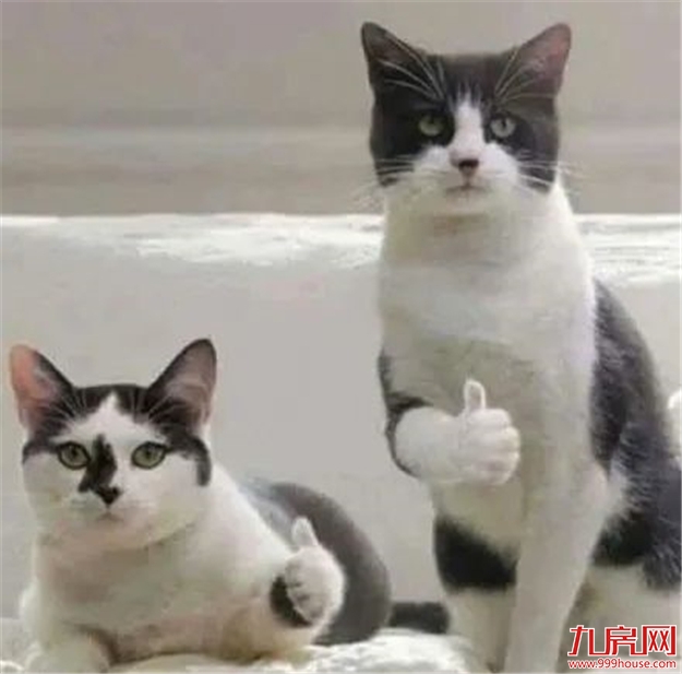 福利赠票 | 大咖驾到！你想要的福立社专场脱口秀来咯！——九房网