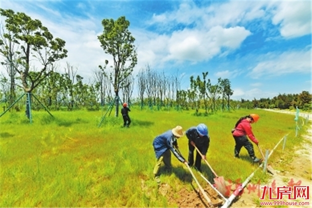 厦门房产,厦门房地产,厦门新房,九房网,厦门房产
