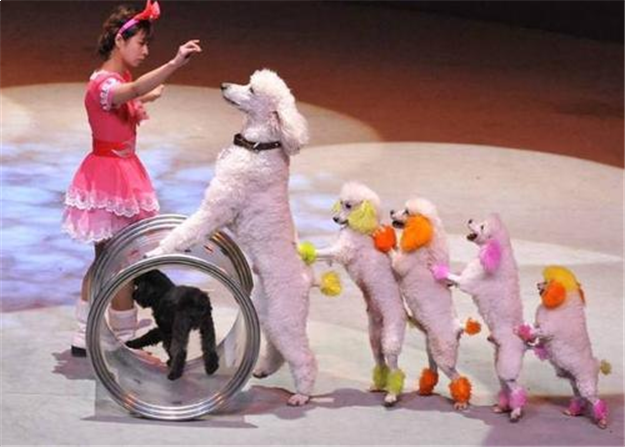 烂漫五月，快来看看正荣都是怎么宠业主的...——九房网