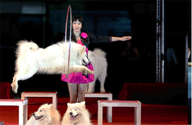 烂漫五月，快来看看正荣都是怎么宠业主的...——九房网