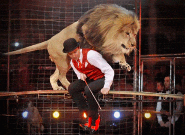 烂漫五月，快来看看正荣都是怎么宠业主的...——九房网