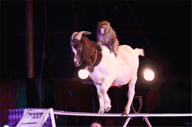 烂漫五月，快来看看正荣都是怎么宠业主的...——九房网