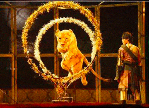 烂漫五月，快来看看正荣都是怎么宠业主的...——九房网