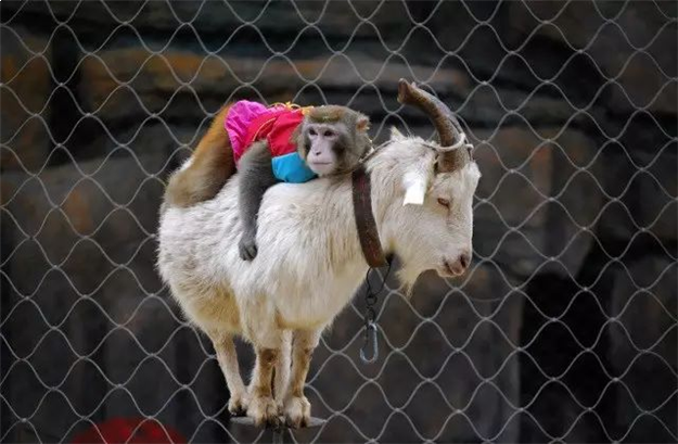 烂漫五月，快来看看正荣都是怎么宠业主的...——九房网