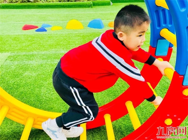 优越人生，从小鹿在野幼儿园起航！——九房网