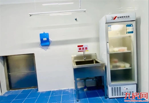 优越人生，从小鹿在野幼儿园起航！——九房网