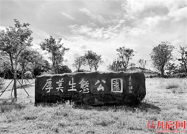 两处“口袋公园”投入使用  上街新增好去处——九房网