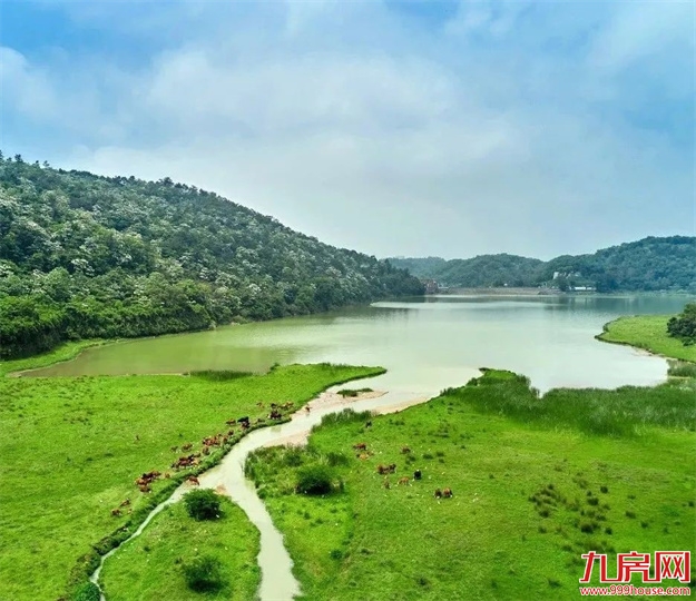 重磅!登云湖中央公园3.0版规划方案首次揭秘——九房网 重磅!登云湖中央公园3.0版规划方案首次揭秘——九房网