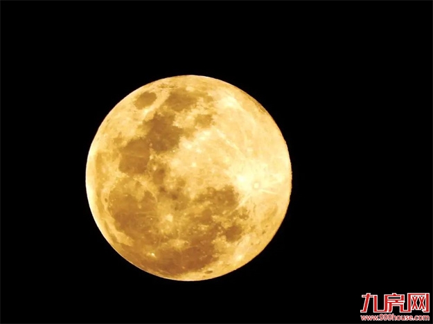 【最新假期通知】跟着玉兔过中秋,一家人的欢乐都在这了~——九房网 【最新假期通知】跟着玉兔过中秋,一家人的欢乐都在这了~——九房网