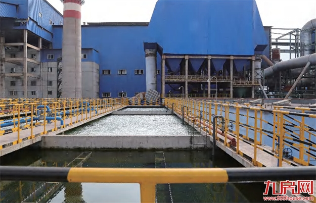 喜报！大东海集团接连荣登多个重磅榜单，获权威认可！——九房网