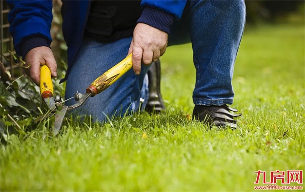 「美好生活」绿城服务，细节成就美好生活——九房网