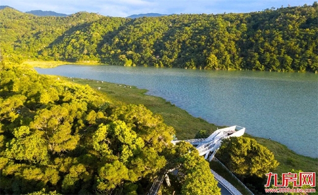 唯有登云，超越登云——九房网