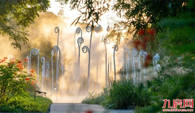 唯有登云，超越登云——九房网