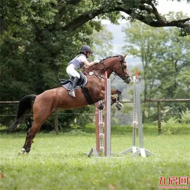 唯有登云，超越登云——九房网