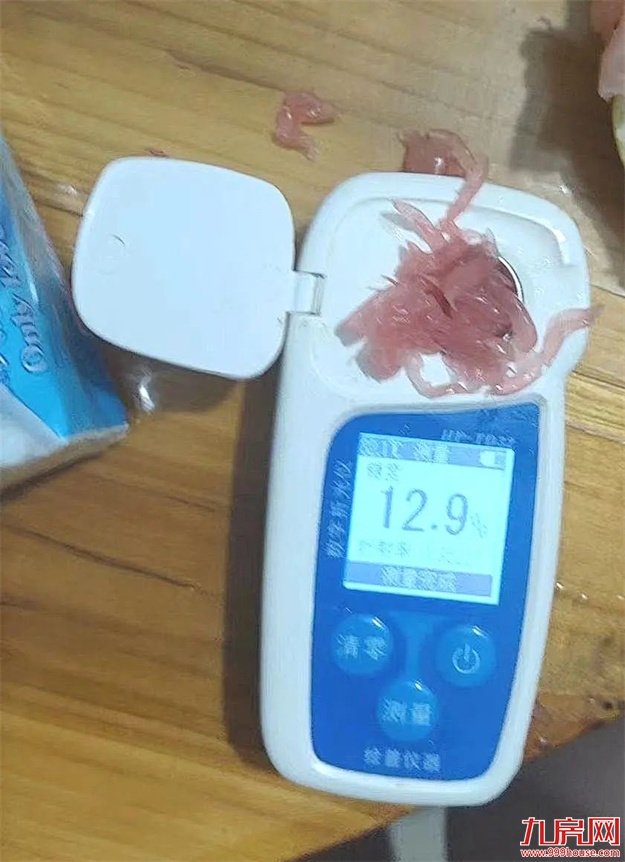 是时候公开这个秘密了：“世界柚乡”的“皇帝柚”来溪谷了！——九房网