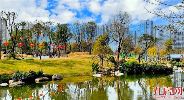 最挑剔的改善族，终于等来满分红盘！东二环+纯商品房+四大公园…——九房网