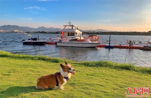 降个税！房贷利率下调！楼市回暖冲上热搜！福州有房立涨130万！——九房网