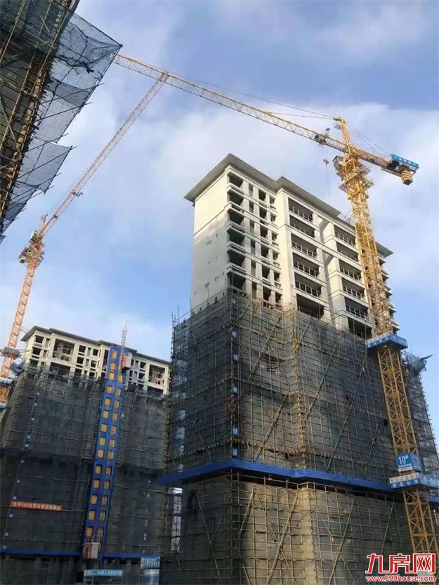 臻品生活家|启封金秋家书,收获幸福信号——九房网 臻品生活家|启封金秋家书,收获幸福信号——九房网